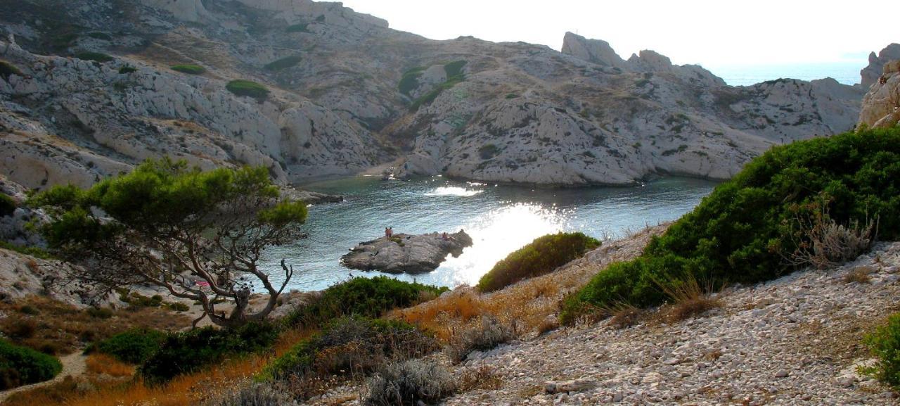 Les Pieds Dans L'Eau Sur L'Ile Du Frioul Daire Marsilya Dış mekan fotoğraf